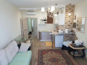 Apartment-studio on Voykova 27